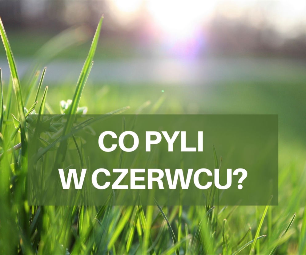 Co pyli w czerwcu 2021? Jakie pyłki wywołują alergie w czerwcu? [LISTA ALERGENÓW]