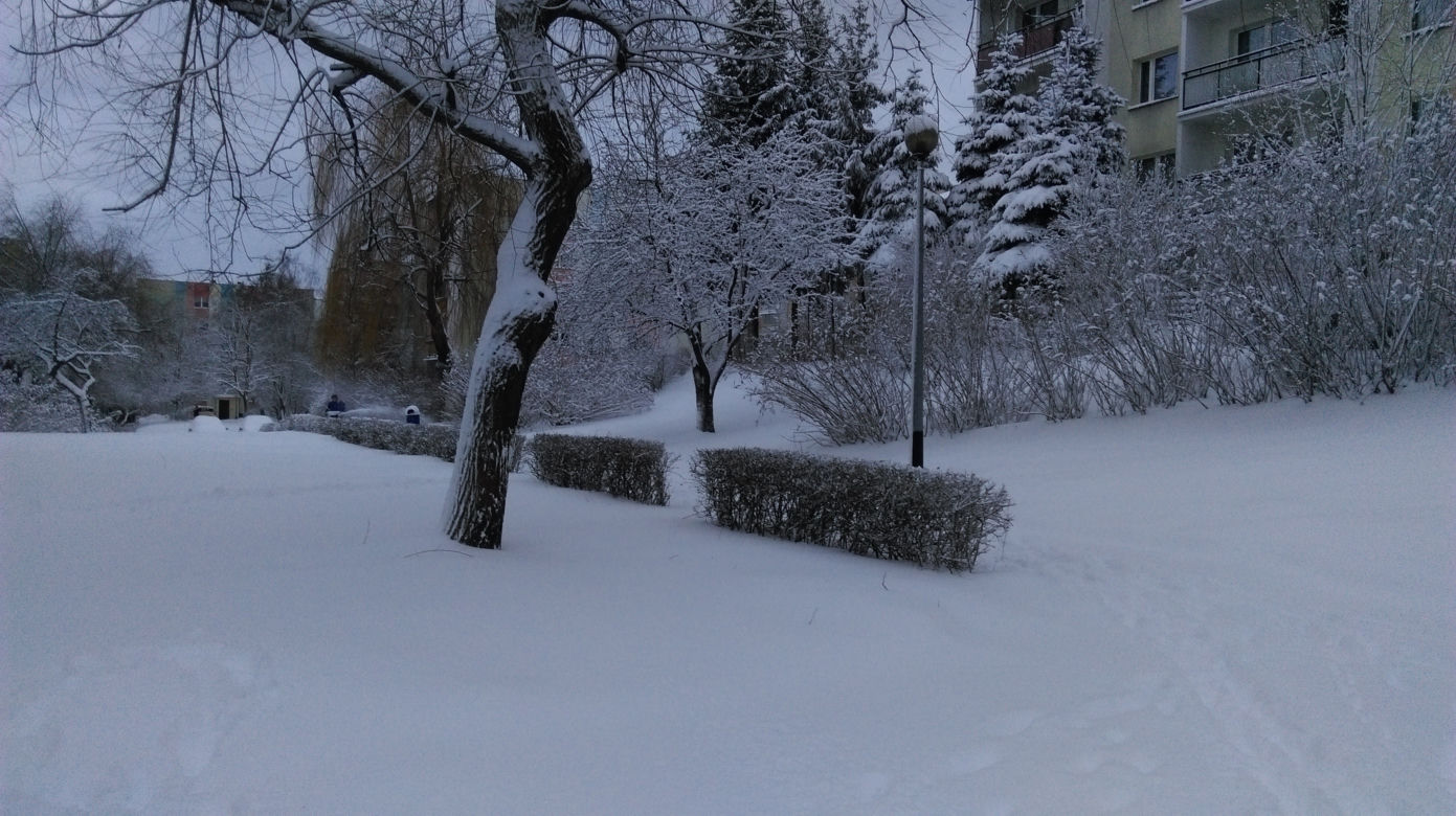 Białystok. Atak zimy 15.01.2019