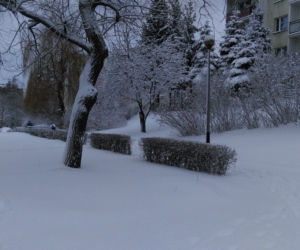 Białystok. Atak zimy 15.01.2019