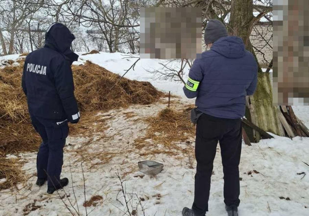 Psy na łańcuchach bez wody i jedzenia. Małżeństwo odpowie za znęcanie się nad 16 psami