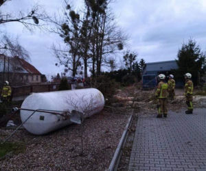 Drzewa na samochodach, zerwane dachy, brak prądu. Skutki wichury w Toruniu i okolicach
