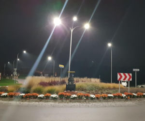 Chryzantemy ozdobiły Starachowice
