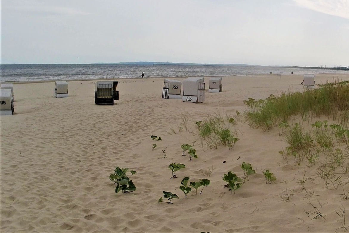 Dwa oblicza jednej plaży nad Bałtykiem
