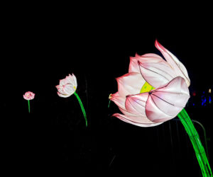 Lumina Park Bydgoszcz