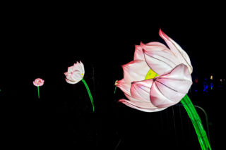 Lumina Park Bydgoszcz