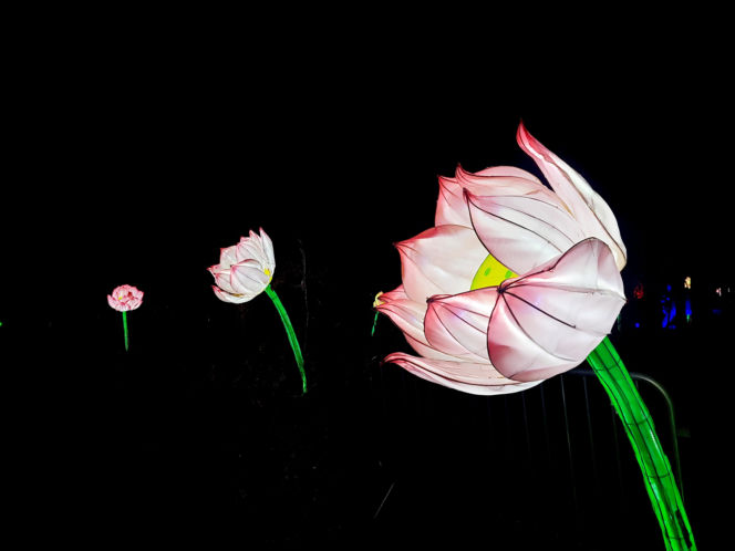 Lumina Park Bydgoszcz