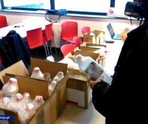 Wielka akcja CBŚ: Przejęto ponad tonę pigułek gwałtu
