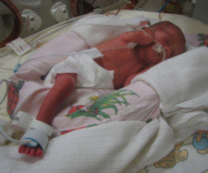 Zosia