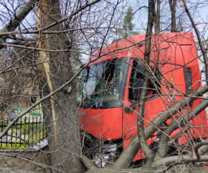 Nowy Sącz. Ciężarówka uderzyła w drzewo i zwaliła je na prywatną posesję. Jedna osoba poszkodowana
