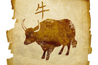 Nowy rok chiński - horoskop od znanej wróżki