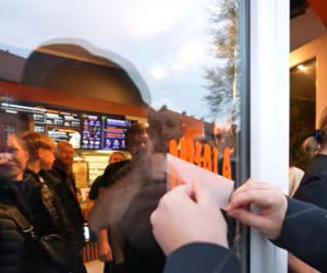 Książulo w Radzionkowie. Kebila podbiła jego podniebienie