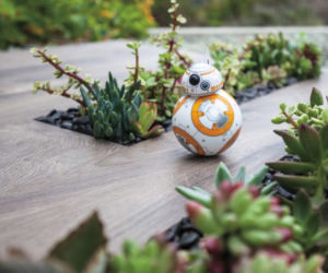 roboty sphero