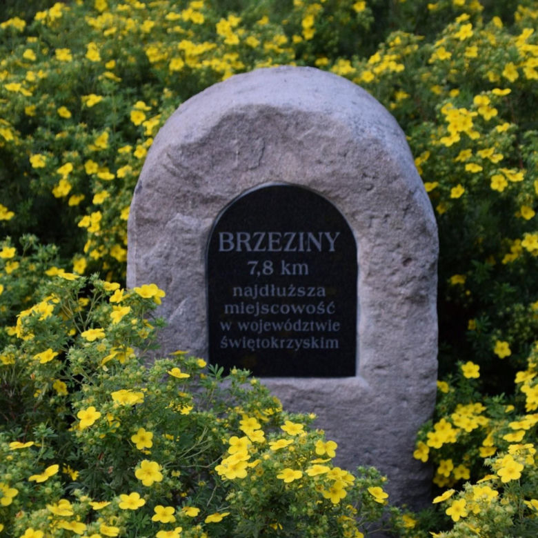 Najdłuższa miejscowość w Świętokrzyskiem. Brzeziny 