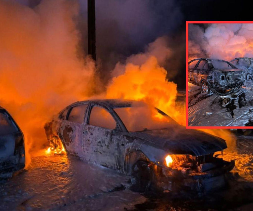 Parking na Podlasiu zmienił się w piekło! Znamy wstępną przyczynę pożaru, który strawił 7 samochodów