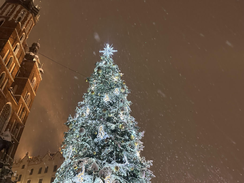 Choinka rozbłysła na Rynku Głównym. Tak wygląda Kraków w zimowej scenerii! 