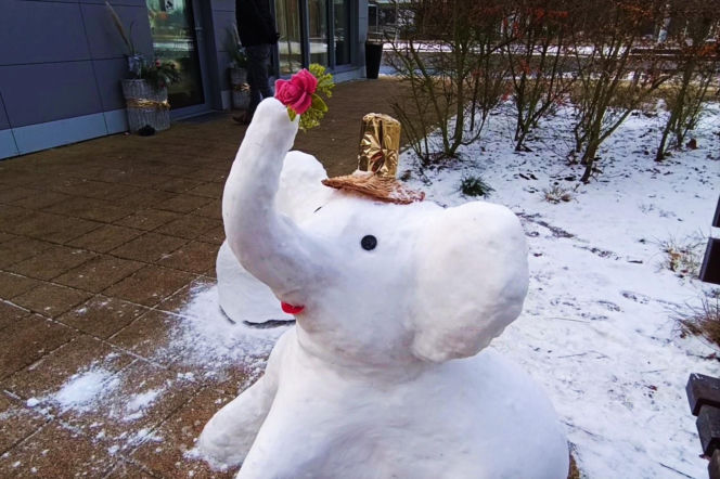 Rzeźby ze śniegu na pętli Głębokie