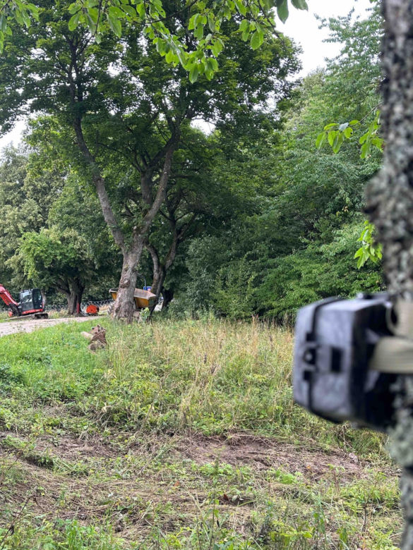 Zapora na granicy z Rosją ma być gotowa we wrześniu. Trwają testy