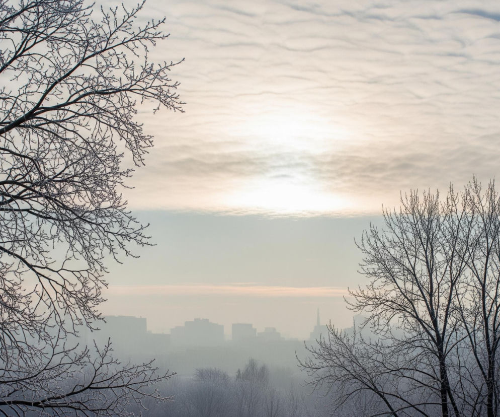 Dwa bezlistne, pokryte szronem drzewa z ciemnymi gałęziami dominują po lewej i prawej stronie obrazu, tworząc naturalną ramę dla zamglonego, miejskiego krajobrazu. Horyzont przecina mglista linia wieżowców i odległej iglicy, wszystkie zatopione w jasnoróżowo-błękitnej poświacie. Centralnie w górnej części kadru przebija się rozproszone światło przez biało-szare, pierzaste chmury.