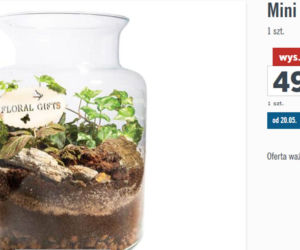 Lidl - ofera na Dzień Matki 