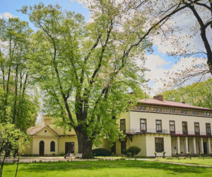 Miał ją zasadzić sam król Jan III Sobieski. Ta lipa ma ponad 300 lat i właśnie została Drzewem Roku