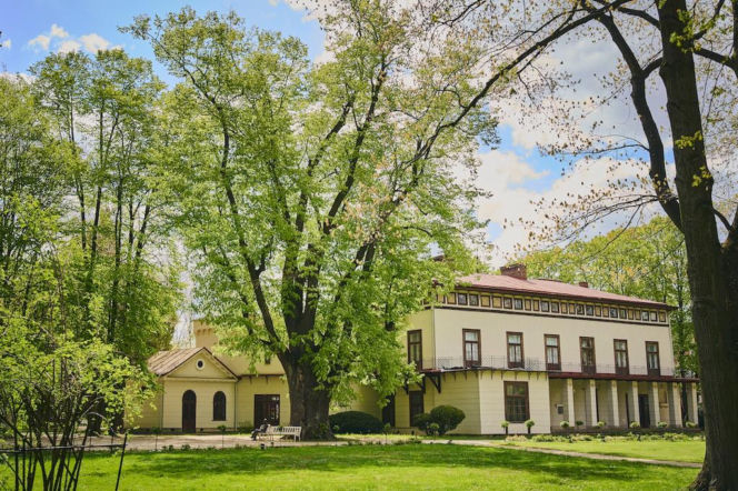 Miał ją zasadzić sam król Jan III Sobieski. Ta lipa ma ponad 300 lat i właśnie została Drzewem Roku