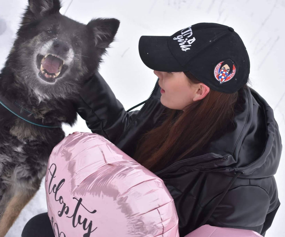 Walentynkowa akcja Torcida Girls. Dziewczyny wspierają bezdomne zwierzęta ze schroniska [ZDJĘCIA]