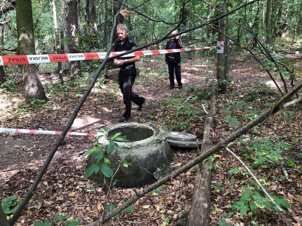 Poznań: Niebezpieczne odkrycie w środku lasu! Obyło się bez ofiar 