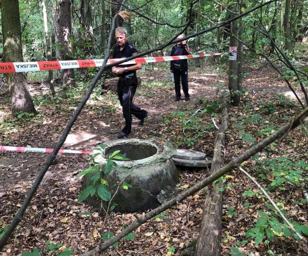 Poznań: Niebezpieczne odkrycie w środku lasu! Obyło się bez ofiar 