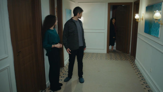 Dziedzictwo, odc. 961. Cansel, Nana, Poyraz