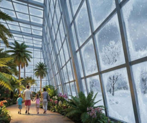 Łodzianie oburzeni projektem Dżungla 360