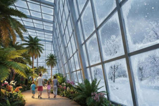 Łodzianie oburzeni projektem Dżungla 360