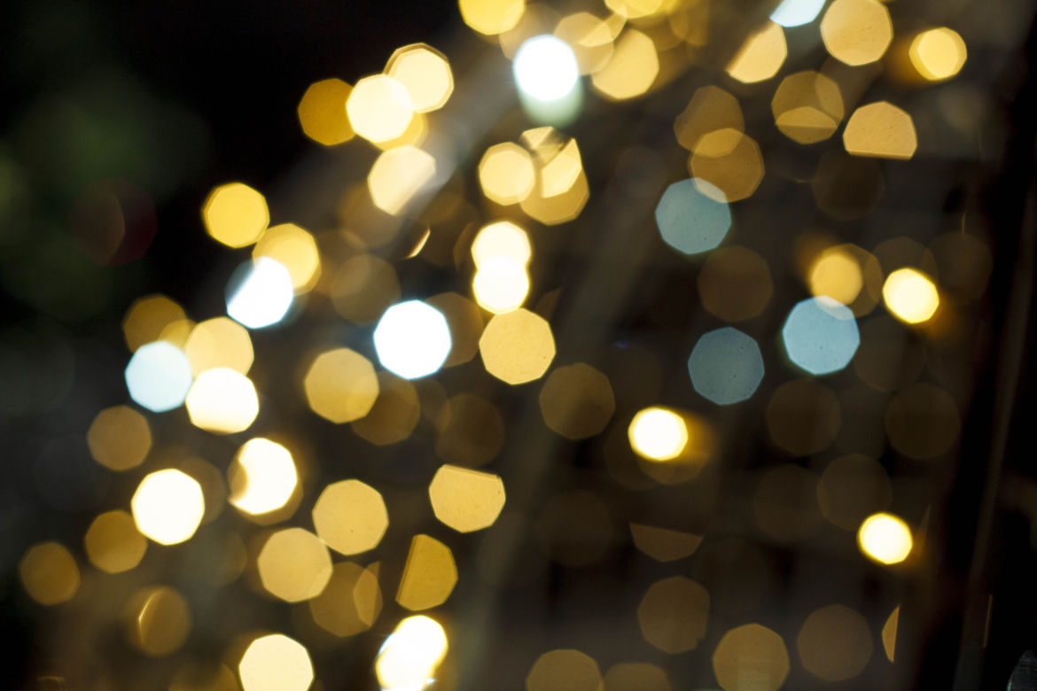 Lasery, muzyka i kolorowe iluminacje w Ogrodzie Botanicznym we Wrocławiu