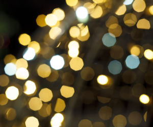 Lasery, muzyka i kolorowe iluminacje w Ogrodzie Botanicznym we Wrocławiu