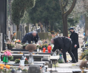 Prezes z palmą, Wałęsa bez