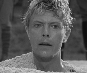 David Bowie 