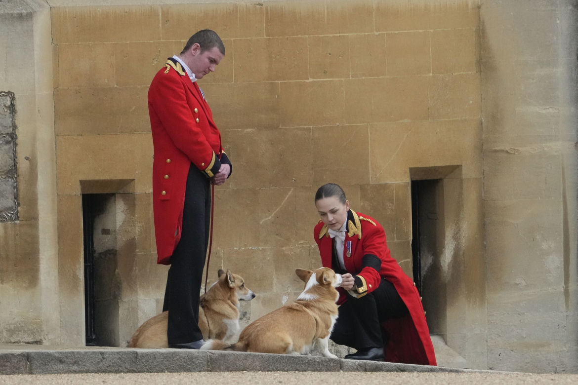 Ukochane corgi królowej były przy niej do końca. "Czuwały przy łożu śmierci"