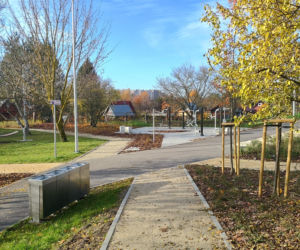 Rewitalizacja stawu przy ul. Bema w Białymstoku