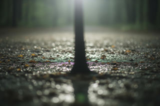 Zaginiony policjant z Pomorza. Co odkryto w lesie pod Strugą?