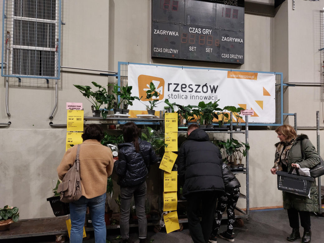 Festiwal Roślin w Rzeszowie [GALERIA]