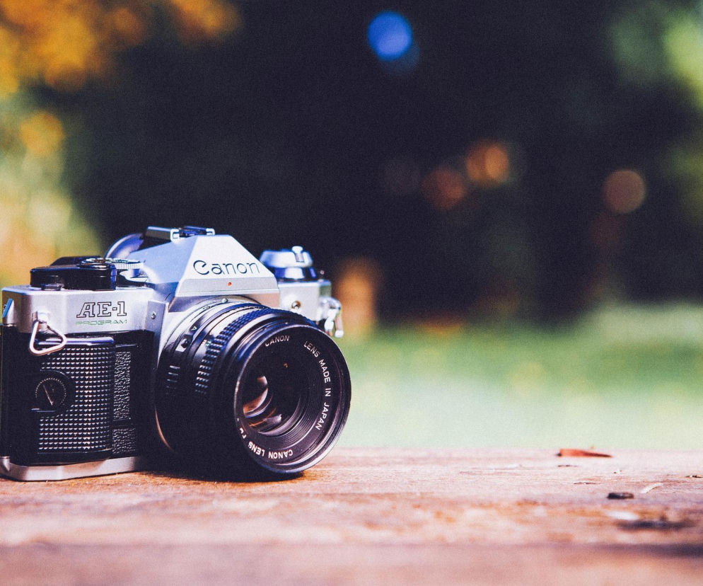 Dolnośląskie. 16-letni w finale konkursu National Geographic Polska