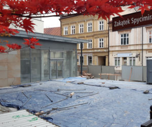 Wznowiono prace przed półbaszcie