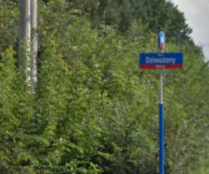 Dziwożony (Bielany)