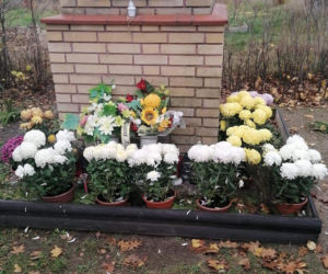 Wyjątkowo kolorowa jesień w Gminie Iława. Wszędzie chryzantemny!