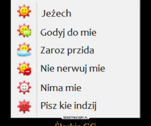 Śląskie GG