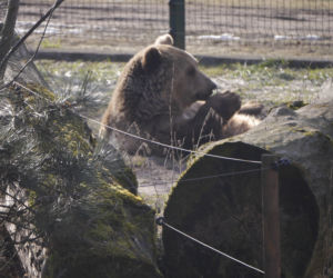 Zwierzęta w białostockim ZOO budzą się na wiosnę