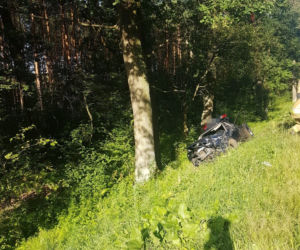 Kamieńczyk. Trzech ciężko rannych mężczyzn! Ich audi roztrzaskało się o drzewo na DK nr 62 [ZDJĘCIA]