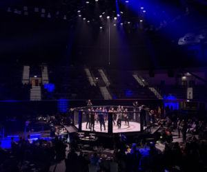 King's Arena2. Klatka i Lwy