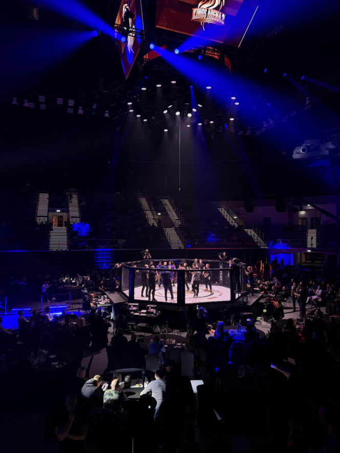 King's Arena2. Klatka i Lwy