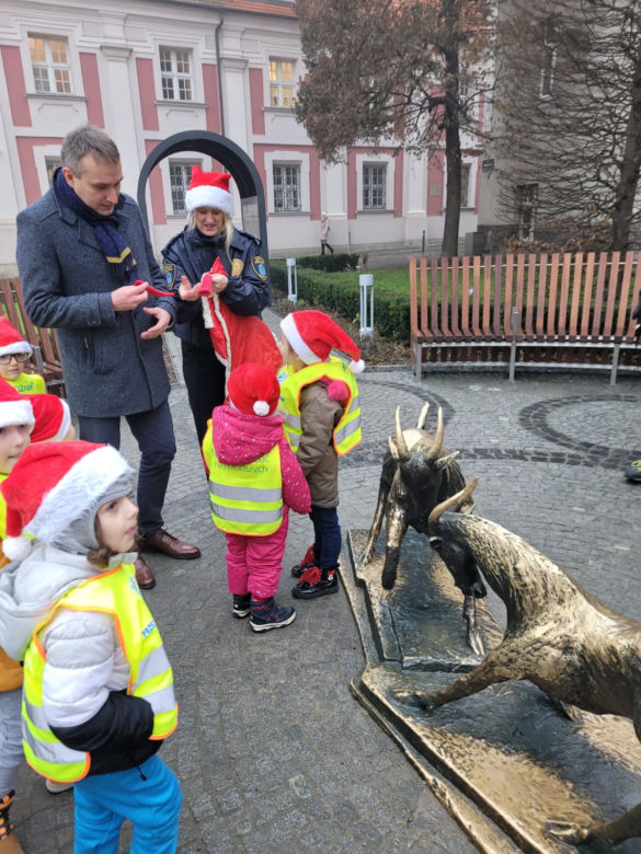 Poznańskie koziołki w świątecznych kubrakach