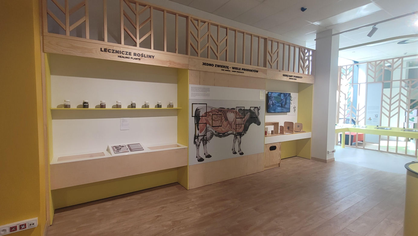 Wielkie otwarcie Centrum Nauki „Kortosfera”. „Jesteśmy dla wszystkich” [ZDJĘCIA]